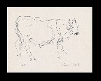 ;Toro; 1965 penna 22x17 cm