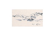 ;Gabbiano; disegno a penna 1983 cm 10x17.5