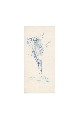 ;Mazzo di fiori; disegno a penna 1978 cm 10x22.5