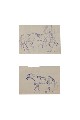 ;Studio cavalli; penna 1957 2x cm 20x15