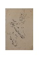 ;Studio cavallo da soma; matita 1941 cm 20x30