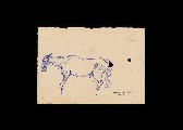 ;Studio per cavallo; disegno a penna 20.5x14 cm
