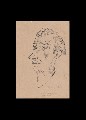 ;Studio ritratto; 1945 penna 16.5x22.5 cm