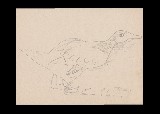 ;Papero; 1954 matita 29.5x21.5 cm