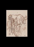 ;Studio per toro; 1945 t.m.16x20 cm