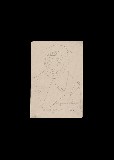 ;Ritratto dello zio volpe; 1945 penna 5x22 cm