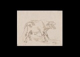 ;Vitello; 1945 acquarello 20x15.5 cm
