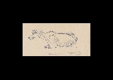 ;Studio di pecora; 1955 penna 21x10.5 cm