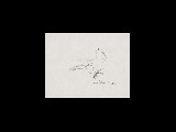 ;Studio di piccioni; 1966 penna 23.5x17 cm