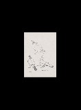 ;Studio di piccioni; 1966 penna 23.5x17 cm