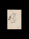 ;Ritratto; 1960 penna 23.5x30 cm