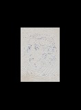 ;Stuio per ritratto; 1959 penna 23.5x30 cm