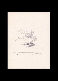 ;Studio per anatre; 1970 penna 18.5x24.5 cm